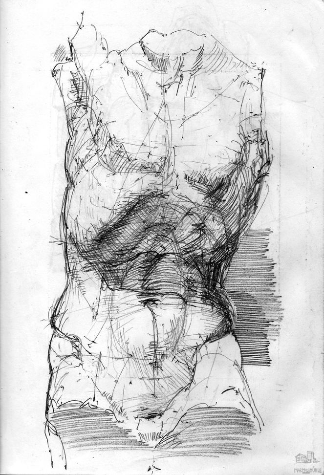 Rando Moricca - Torso Basilensis - Zeichnung